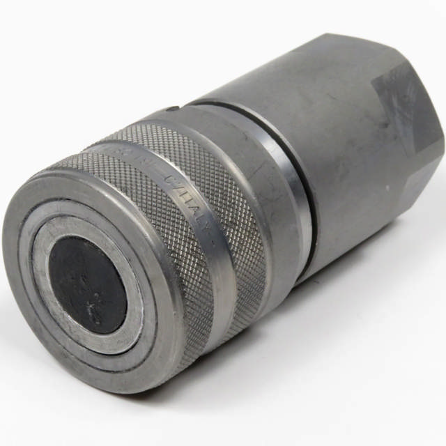 Lynkobling (Flat face) Hun