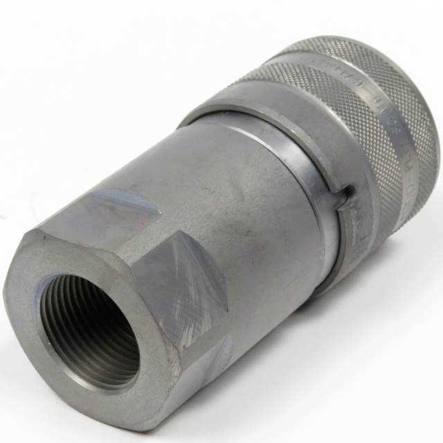 Lynkobling (Flat face) Hun