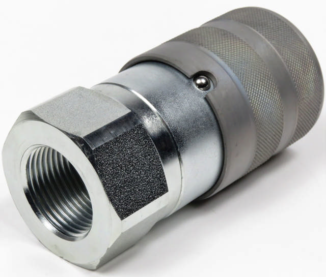 Lynkobling (Flat face) Hun