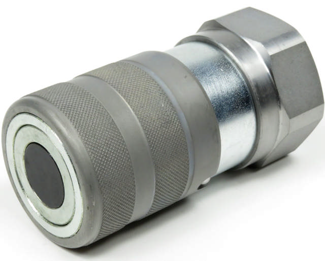 Lynkobling (Flat face) Hun