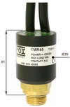 Fixed thermostat 60°C With Relay