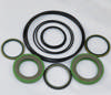 Seal kit for OR motor