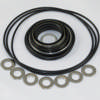 Seal kit motor OMR HPS
