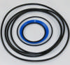 Seal kit motor OMTS