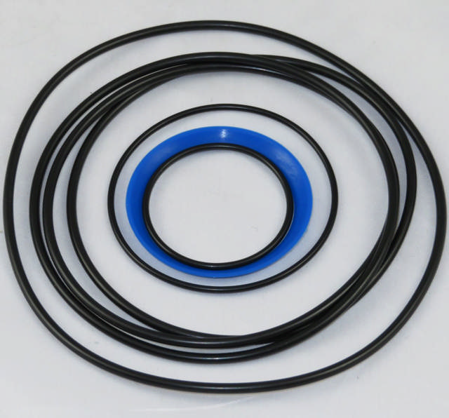 Seal kit motor OMTS