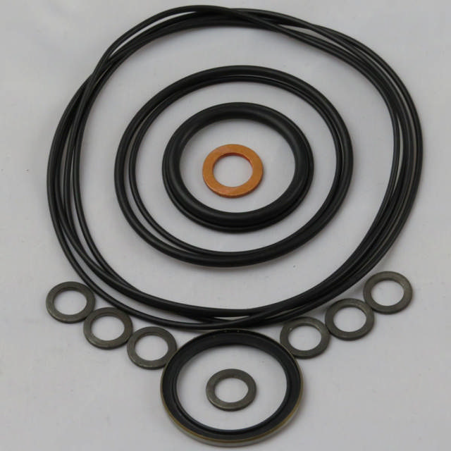 SEAL KIT AR MOTOR