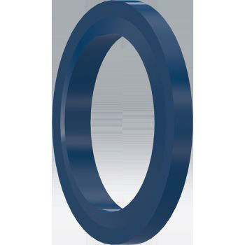 SEAL 3000/6000 PSI FLANGE 2