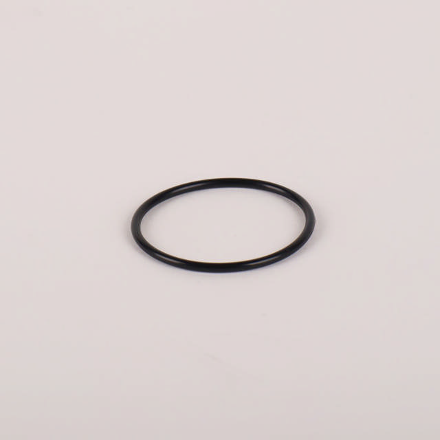 O-ring (2,62 x 44,12) pos 7