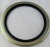 Dowtyskive / Bonded seal