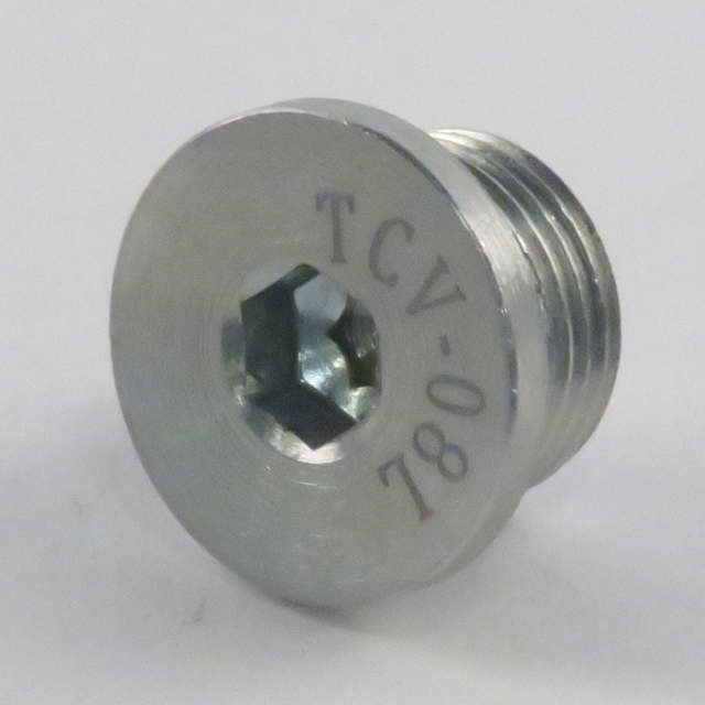 Cavity plug SAE 8/2