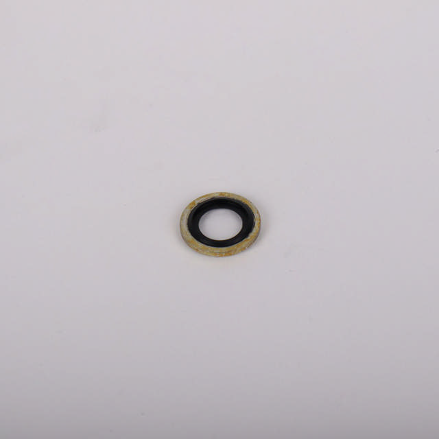 Dowtyskive / Bonded seal