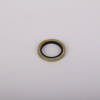 Dowtyskive / Bonded seal
