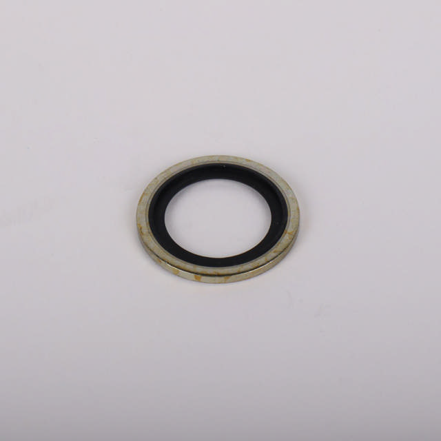 Dowtyskive / Bonded seal