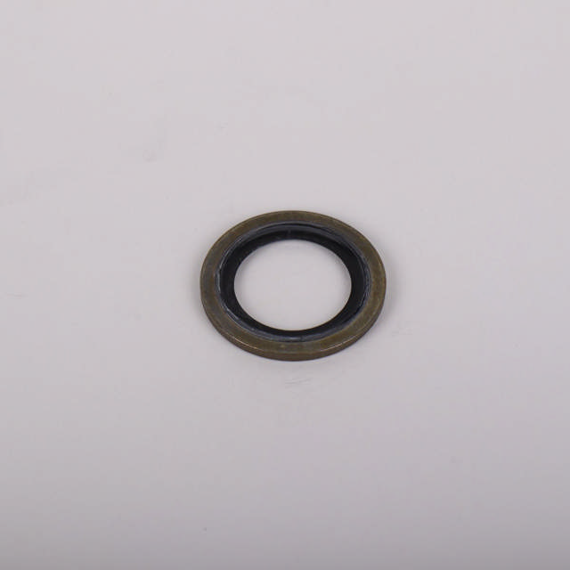 Dowtyskive / Bonded seal