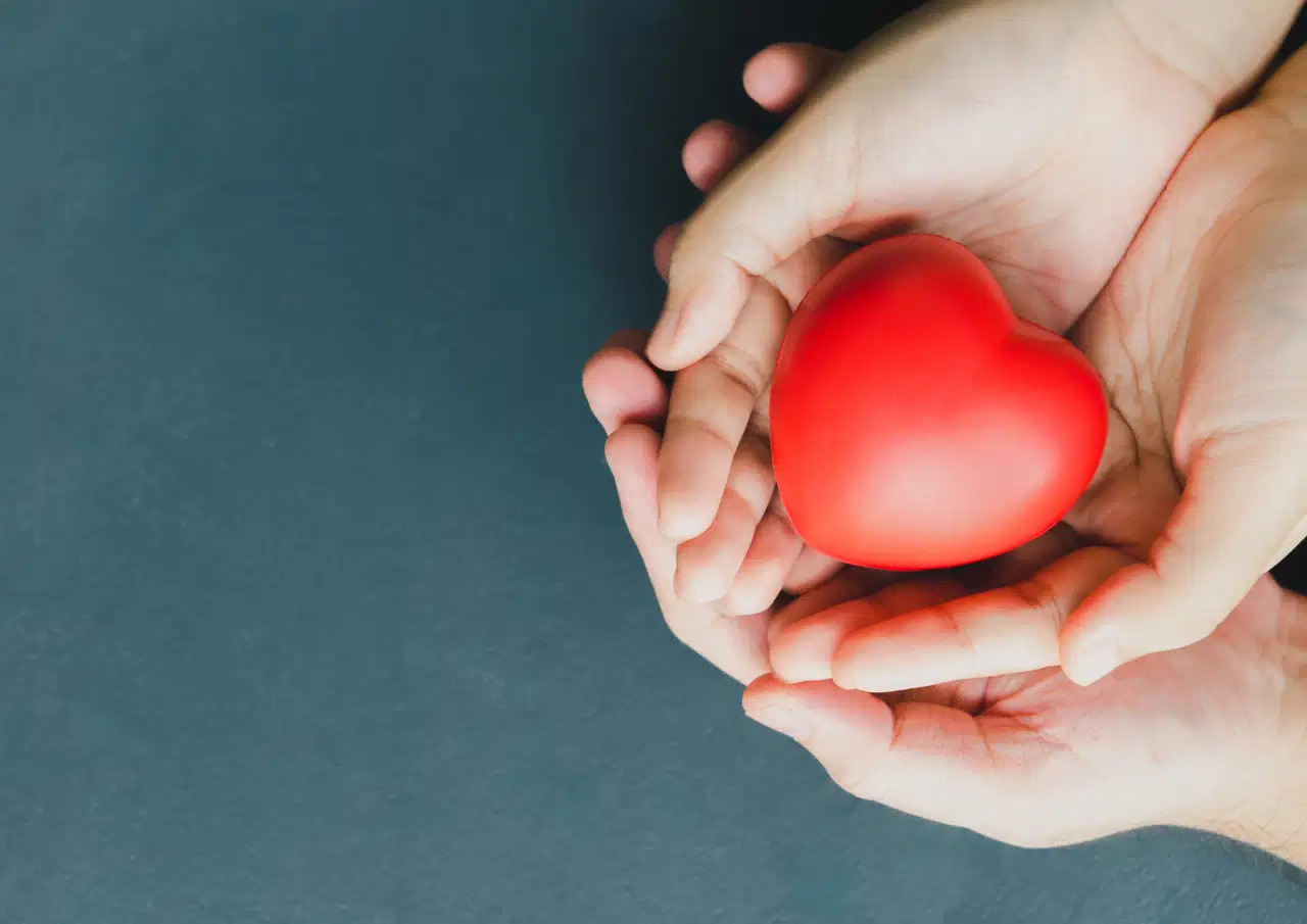 JO Hydraulics optimerer hydrauliksystemer for lavere energiforbrug og l&aelig;ngere levetid